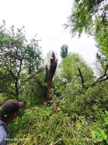 столовой в аренду: КРОЮ КРЫША. ПИЛЮ ДЕРЕВО. ДЕМОНТАЖ КРЫША. РЕМОНТ КРЫША . СТАЖ БОЛЕЕ — 10
