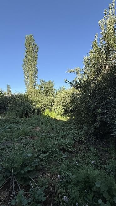 Продажа домов: Продаётся жилой дом с Земельным участком в с. Новопокровка — 5