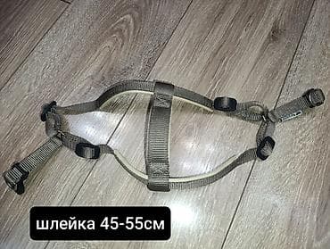 мышка ош: Продаю б/у амуницию для собак мелких и средних пород. оптом - 1350 — 3