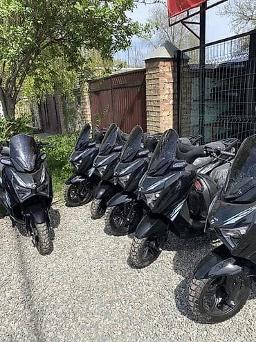 барабан на гигант: Скутер DUL DUL, черный цвет. Основные характеристики: - Кузов формата — 8