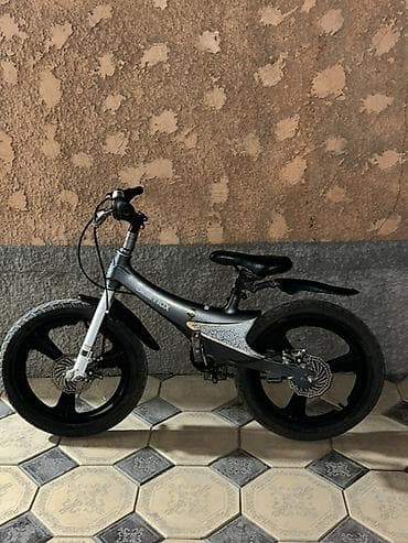 Детский велосипед, 2-колесный, 4 - 6 лет, Для мальчика, Новый