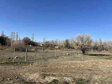 земельный участок токмок: 25 соток, Для строительства, Красная книга, Договор купли-продажи — 3