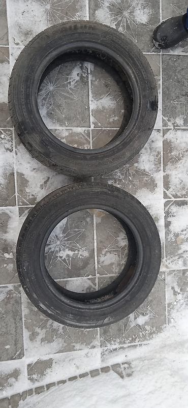 w210 55: Шины — 2