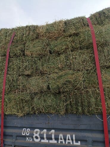 Ветеринар кызматы: Продаю Чистый Клевер Элита 2-3--кос Сухой Сеновал. Плотный Зелёный — 6