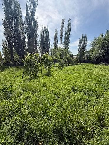 продаю участок старый талчок: 10 соток, Для строительства, Красная книга — 2