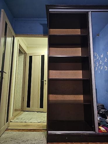 Оңдоп-түзөө жана курулуш: Купе шкаф, Колдонулган, Күзгүсү менен, ЛДСП — 1