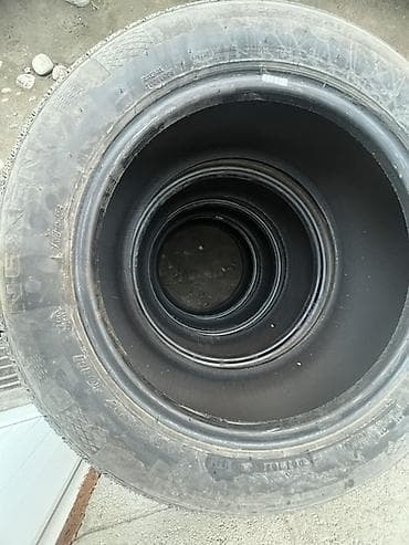 Транспорт: Шиналар 225 / 55 / R 17, Жай, Комплект, Жеңил унаалар, Nexen — 2