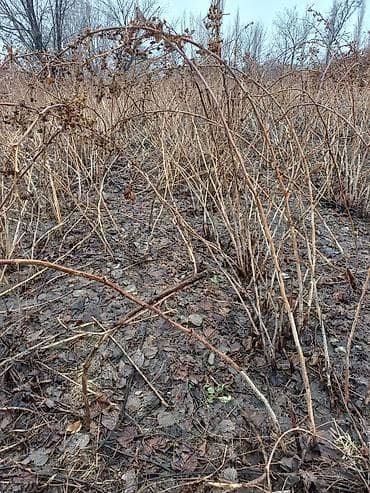 валик цена бишкек: Кургаткыч — 2