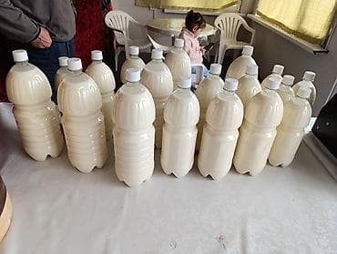 Азык-түлүктөр: Нарындын таза, табигый кымызы сатылат. Баасы: 250сом. Ушул 3-куну — 2