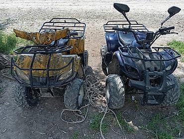 rf 2: Квадроцикл Yamaha, Бензин, 130 куб. см — 1