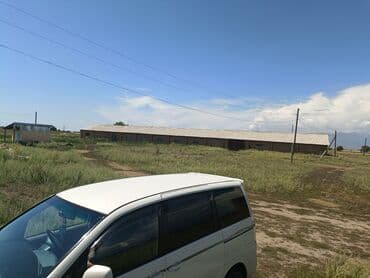 дом в районе кызыл аскер: Продаю Кошара, 600 соток, Действующий, С оборудованием, Электричество, Скважина — 6