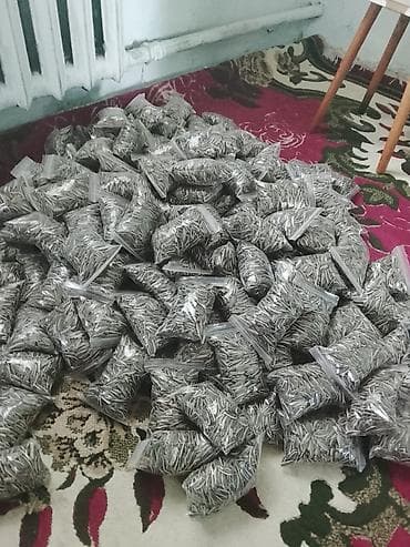Семена подсолнечника в фасовке - Цельные семечки подсолнечника