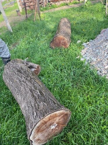 ХДФ: Комузга кургак орук бак сатылат — 4