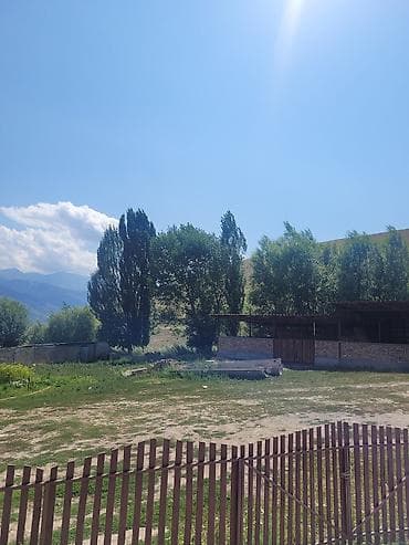 east: Все условия: свет, вода. Остальные условия обговариваются — 1
