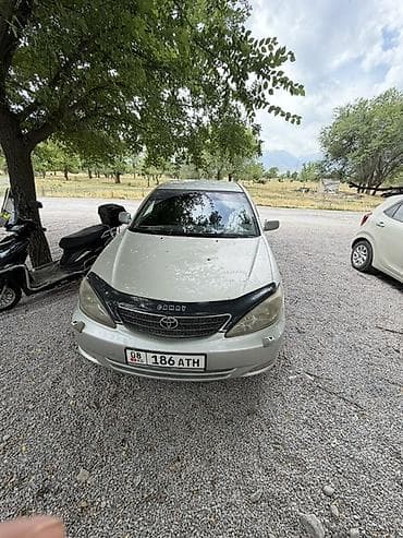 Toyota Camry: 2004 г., 3 л, Автомат, Газ, Седан