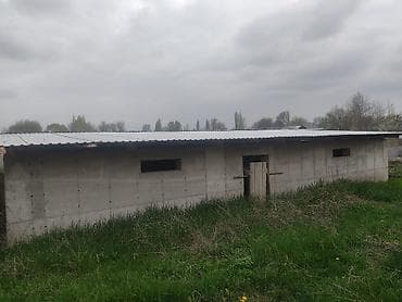 Сокулук мн Беловодскийдин ортосунда жайгашкан участок