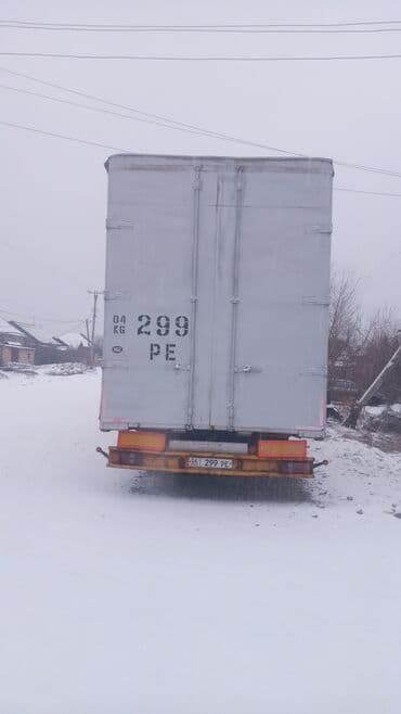 кырло на мтз: Тягач, 2005 г., Шторный — 1