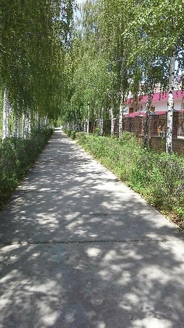 комната бишкек аренда: Студия 2 комнаты. на мансардном этаже .отдельная спальня с — 9