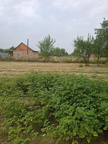 удобрение для малины: Продается малинник с плодородной почвой. Идеально подходит для — 4