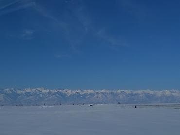 it вакансии без опыта: Юрист рассматривает предложения о работе от физических и юридических — 3