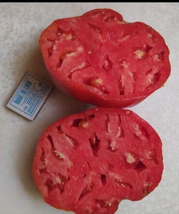 рассада помидор купить: Уруктар жашылчалардын: Помидорлор, Өзү алып кетүү — 2