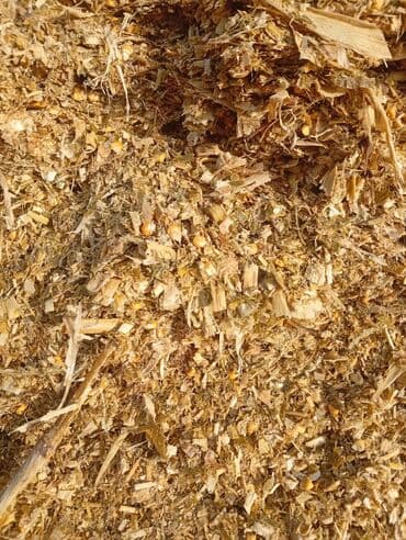 Кемирүүчүлөр: Силос — 1