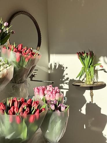 продажа тюльпанов оптом: Тюльпаны — свежесрезанные, плотные бутоны на упругих длинных стеблях — 3