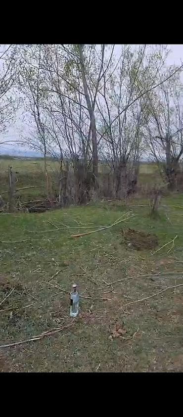 продо: 45 соток, Для сельского хозяйства — 1