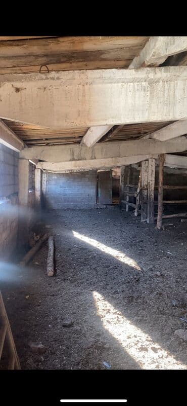 аренда квартира бишкек: Продаю Кошара, 40 соток, Действующий, Без оборудования, Электричество, Холодная вода — 1