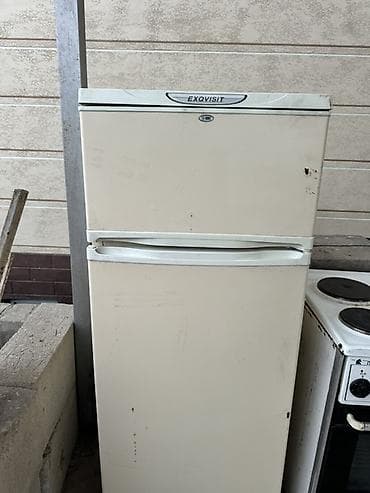 cs max: Холодильник Sharp, Двухкамерный — 3