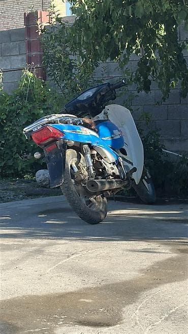 Унаа: КОРЕЕЦ. Мопед Citi Ace 110 (скутер-кубатура 110 куб. см) - Формат — 1