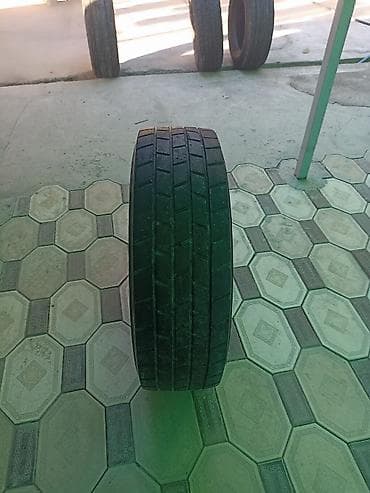 Грузовые шины 265/70 R19.5 - Модель: Sava Cargo C3 (на фото также — 8