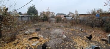 Үйдү ижарага алам: Үй, 51 кв. м, 4 бөлмө, Риелтор, Эски ремонт — 9