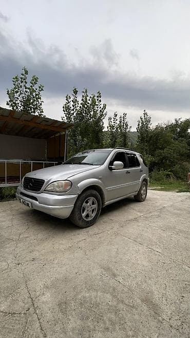 Mercedes-Benz ML-Class: 1998 г., 3.2 л, Автомат, Бензин, Кроссовер