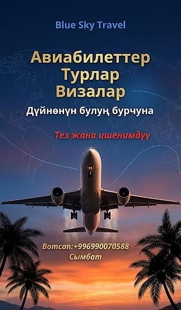 ds 160: Оформление e‑визы в Кыргызстан для граждан Узбекистана — Blue Sky — 3