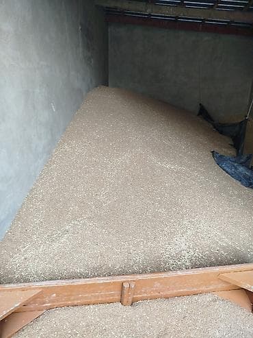 продаю тайган: Продаю пшеницу первая репродукция.Сеял элиту. Зерна крупные и — 3