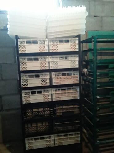 товары для животных: Товары и оборудование для с/х животных — 4