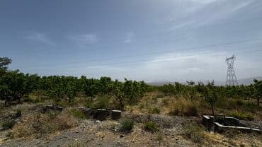 продаю или меняю с доплатой мне: 400 соток, Айыл чарба үчүн, Башкы ишеним кат, Сатып алуу-сатуу келишими, Техпаспорт — 8