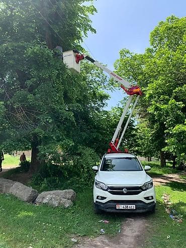 экскаватор услуги: Стрела 12 м, 200 т — 7
