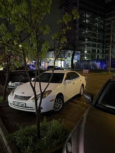 Toyota Windom: 2005 г., 3 л, Автомат, Газ, Седан