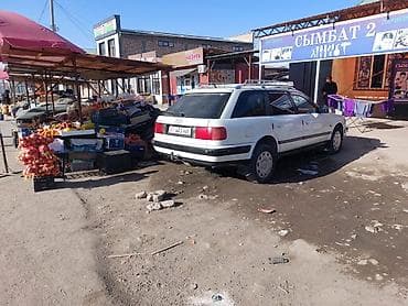 балоны: Audi 100: 1992 г., 2 л, Универсал — 10