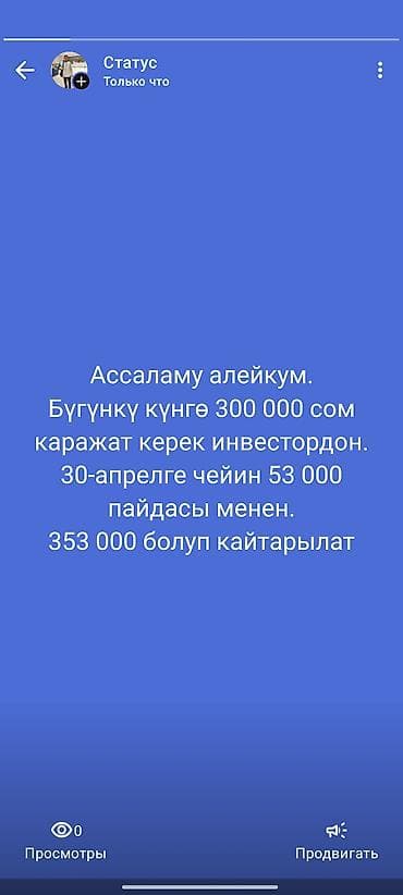 бизнесы: Инвесторлор чалгыла. Нужны инвестиции: 300 000 сом. Срок возврата: до — 1