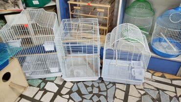 вольер: Вольеры для птиц! — 5