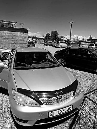козырек камри: Toyota Camry: 2003 г., 2.4 л, Автомат, Бензин, Седан — 1