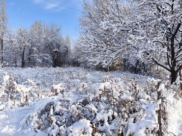 бишкек продаю дом село нижний алаарча: 4 соток, Курулуш, Кызыл китеп, Сатып алуу-сатуу келишими — 7
