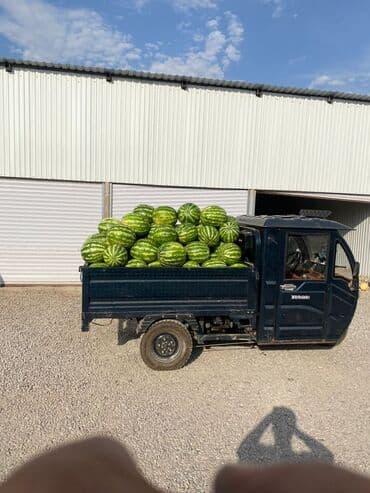 обмен на погрузчик: Легкий грузовик, Стандарт, 1,5 т, Б/у — 1
