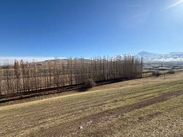 продается орошаемая земля в жайылско районе алтыр будёновка 5 40 гектар цена договорная с довой проблем нету оформление сразу: 500 соток, Для бизнеса, Красная книга — 2