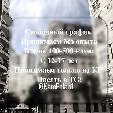 Тармактык маркетинг: Удалённая подработка для подростков. - Подходит для ребят 12–17 лет - — 1