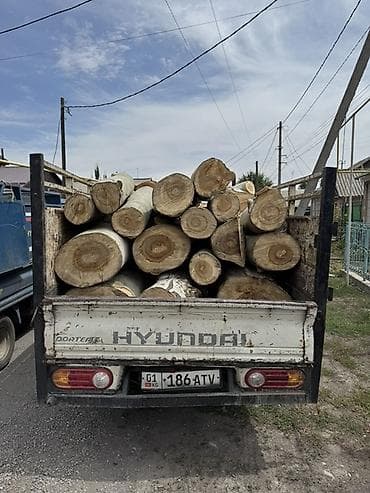 мусарные баки: Дрова Тополь — 8