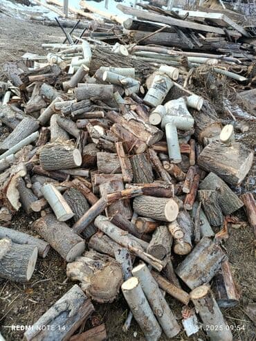 шкаф двустворчатый для одежды: Дрова — 3